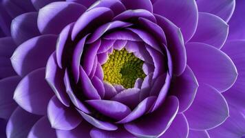 AI generated shot Abstract macro photo of flowers creating tranquil artistic design