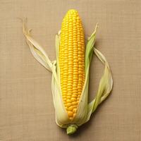 AI generated Isolated corn cob on textured brown sackcloth background, side view For Social Media Post Size photo