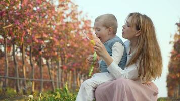 content loisir mère avec fils dans été. le fils est assis dans le sien de la mère tour et fait du savon bulles dans le jardin avec une rose fleur. doux relation entre Parents et les enfants video