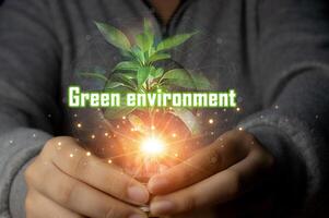 Ecological concept and green environment sustainable world Protect the environment keep the world clean photo