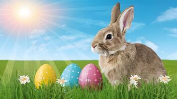 AI generated Easter bunny, eggs, spring flower art on sunny background photo