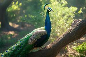 AI generated Wild nature scene Peacock showcasing its side profile photo