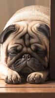 AI generated Home comfort Cute pug dog lounging on a wooden floor Vertical Mobile Wallpaper photo