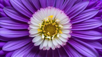 AI generated Beautiful flower macro shot with violet petals as backdrop photo