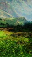 lozano verde Valle con majestuoso montañas video