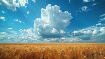 AI generated Wheat Field Under Cloudy Blue Sky photo