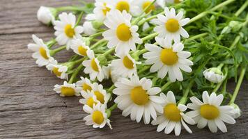 AI generated Chamomile flowers arranged on a rustic wooden background exude tranquility photo