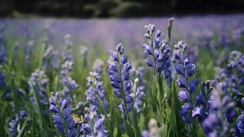 ai generado fantasía amable floral antecedentes con azul flores en desenfocado ajuste foto