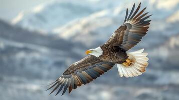 ai generado calvo águila volador en frente de Nevado montaña foto