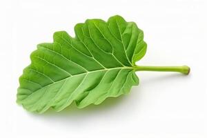 AI generated Resilient One green leaf of fig tree. Generate Ai photo