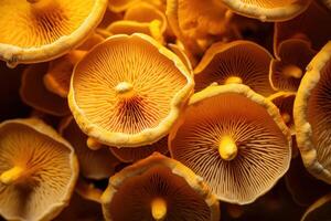 AI generated Flavorful Yellow macro fresh mushroom. Generate Ai photo