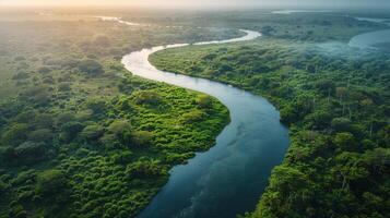 AI generated River Flowing Through Lush Green Forest photo