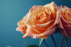 AI generated Three Orange Roses on Blue Background photo