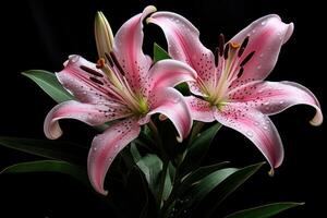 AI generated Serene Pink lilly. Generate Ai photo