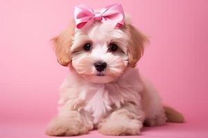 AI generated Charming Puppy pink bow background. Generate Ai photo