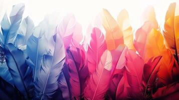 AI generated Abstract background of colorful feathers photo
