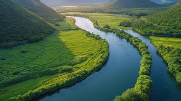 AI generated River Flowing Through Lush Green Forest photo