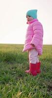 Portrait of little girl in the field digging the ground with a shovel video