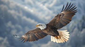 AI generated Bald Eagle Flying in Front of Snowy Mountain photo