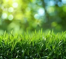 AI generated green grass background with bright bokeh and a beautiful green color photo