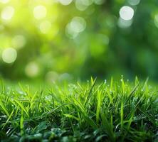 AI generated green grass background with bright bokeh and a beautiful green color photo