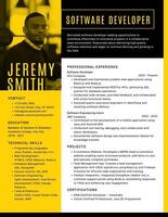 Software Developer Resume Template