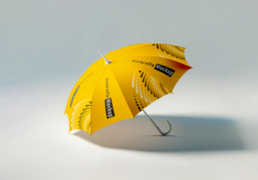 Regenschirm Attrappe, Lehrmodell, Simulation psd