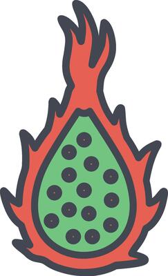Dragon Fruit Vector Icon