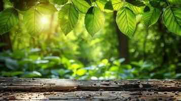 AI generated Empty Wooden Table With Garden Background photo