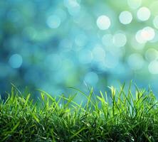 AI generated green grass with blue bokeh background photo