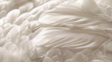 AI generated Intricate feathers in close-up create an abstract pattern, showcasing detailed textures and delicate beauty photo