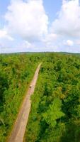 auto guida attraverso il lussureggiante foresta pluviale giungla nel il estate tropicale scenario. video