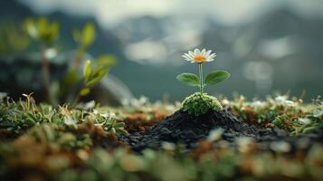 AI generated Small White Flower on Pile of Dirt photo