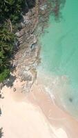 kustlinje av en tropisk strand med palmer, stenar, vit sand och turkos vatten video