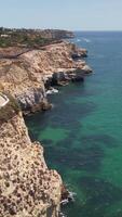 vertical vídeo de hermosa marina en algarve, Portugal aéreo ver video