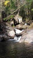 Vertikale Video von klein Wasserfall im das Berge