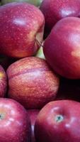 verticale vidéo de fruit sur vente à supermarché video