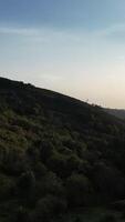 Vertikale Video von Wald Bäume oben Antenne Aussicht