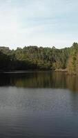 Vertikale Video von Wald Fluss Antenne Aussicht