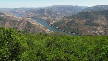 flygande över skön natur landskap i douro dal område portugal video