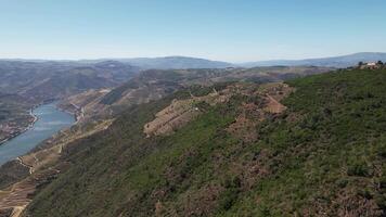 volante al di sopra di bellissimo natura paesaggio nel douro valle regione Portogallo video