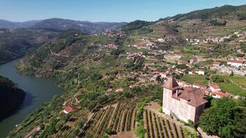 volante al di sopra di bellissimo natura paesaggio nel douro valle regione Portogallo video