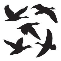 Hand drawn animals bird silhouette set vector