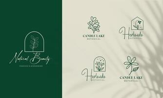 Botanical Floral Element Hand-Drawn Logo Vector Template.