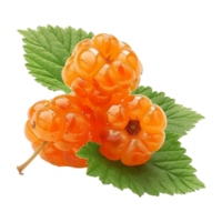 AI generated cloud berries isolated on transparent background png