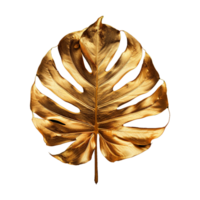 AI generated Monstera plant golden leaf isolated on a transparent background png