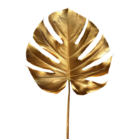 ai gegenereerd monstera fabriek gouden blad geïsoleerd Aan een transparant achtergrond PNG