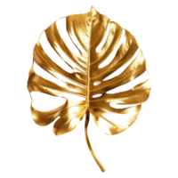 AI generated Monstera plant golden leaf isolated on a transparent background png