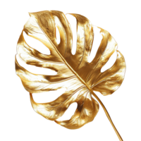 AI generated Monstera plant golden leaf isolated on a transparent background png