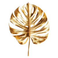 ai généré monstera plante d'or feuille isolé sur une transparent Contexte png